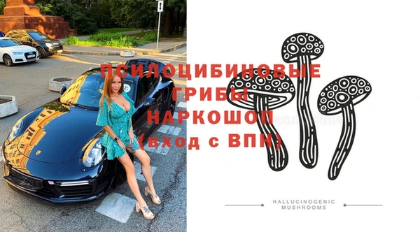 ПСИЛОЦИБИНОВЫЕ ГРИБЫ Абинск